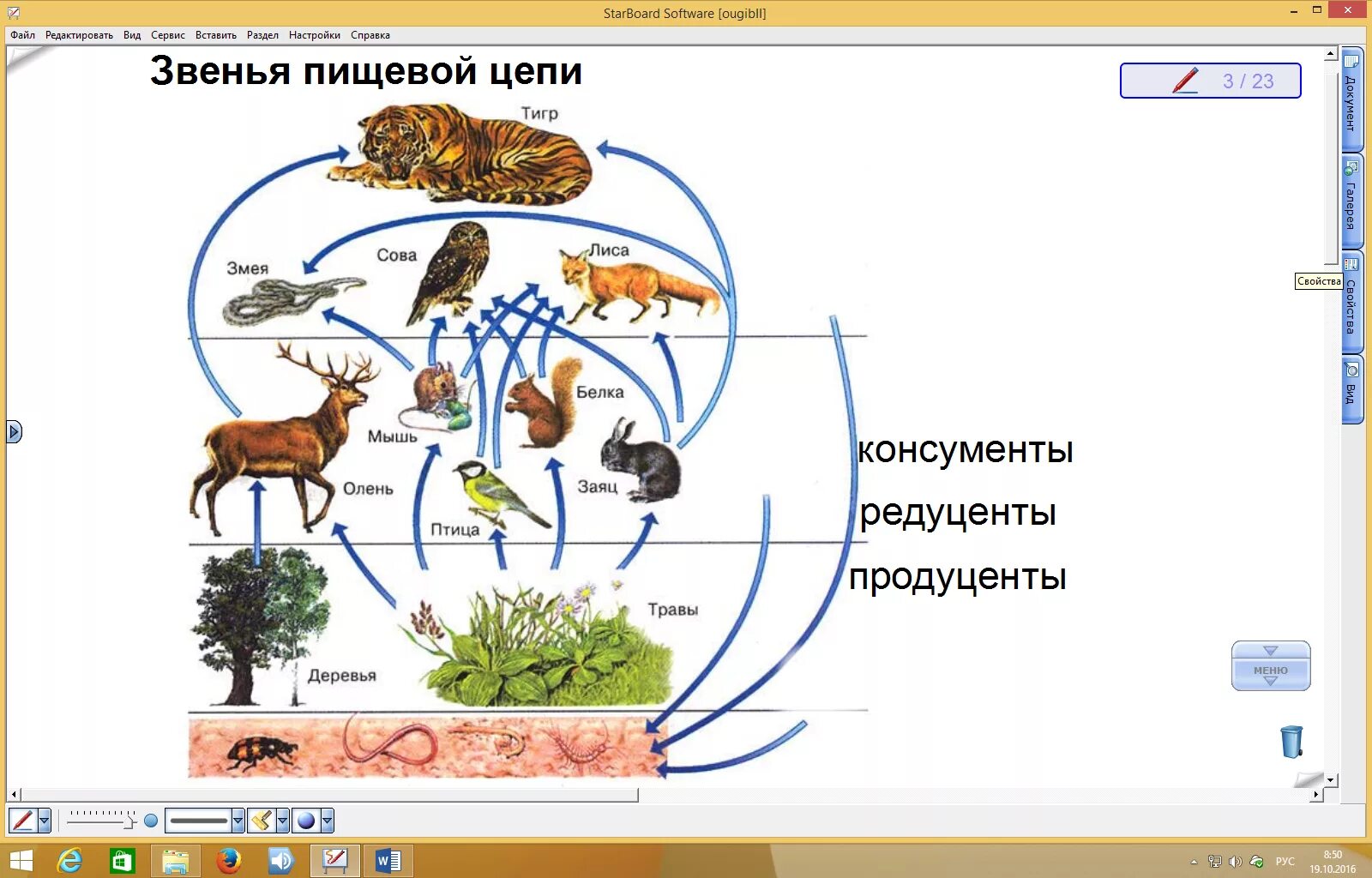 Цепи питания природной экосистемы. Пищевая сеть схема биология. Пищевая сеть 5 класс биология. Пищевые связи цепи питания схема. Взаимосвязи организмов в сообществе.