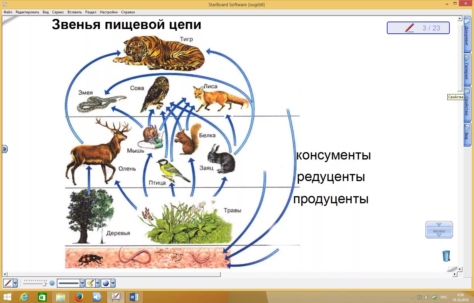 Составить схему природного сообщества