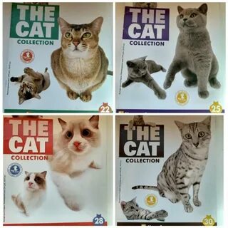The cat collection
