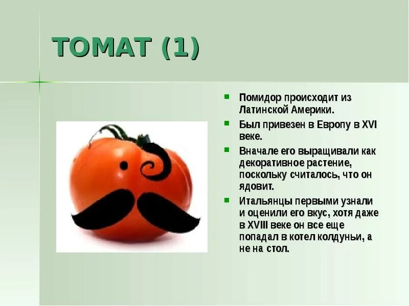 И томатов 1 3 1