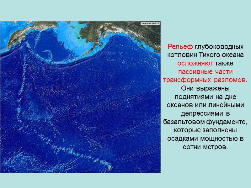 Рельеф дна Тихого океана котловины. Карта рельефа дна мирового океана. Рельеф дна морей Тихого океана. Рельефы Тихого океана 7 класс география.