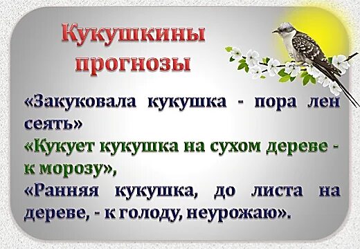 Кукушка кукует стих