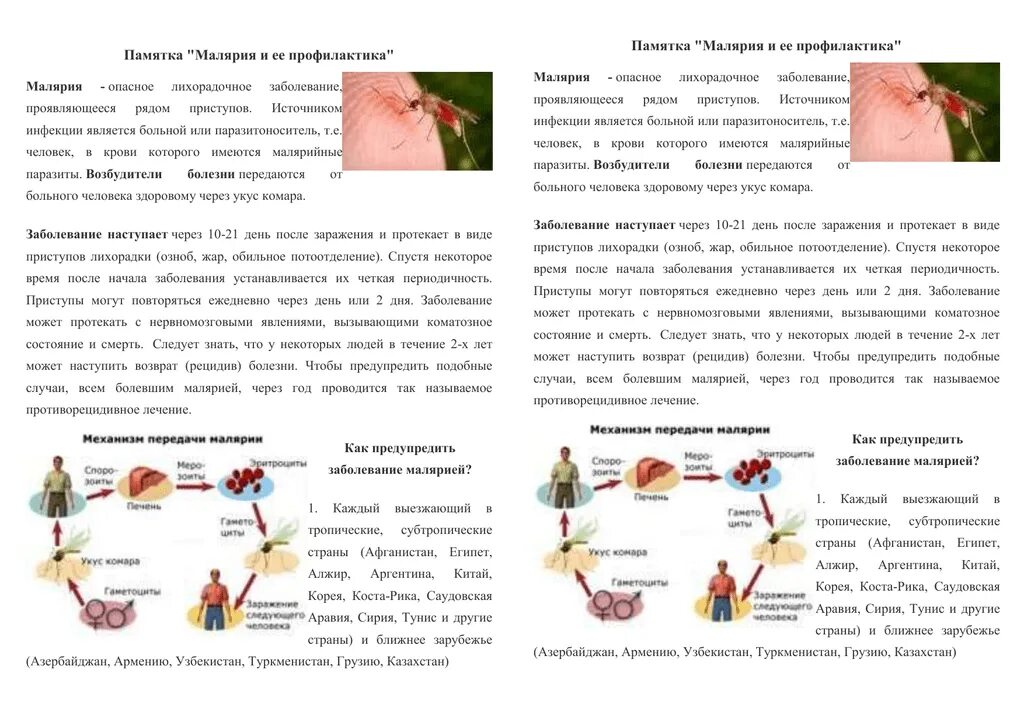 Профилактика малярии памятка. Малярия буклет. Малярия симптомы и профилактика. Памятка по профилактике малярии.