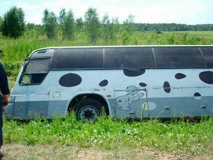 Автобус калуга сухиничи завтра
