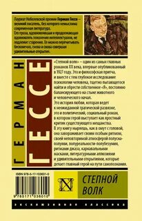 Степной волк смысл