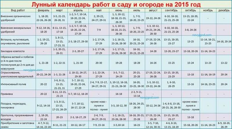 Лунный дачный календарь на ноябрь 2012 года - Обсуждение статьи