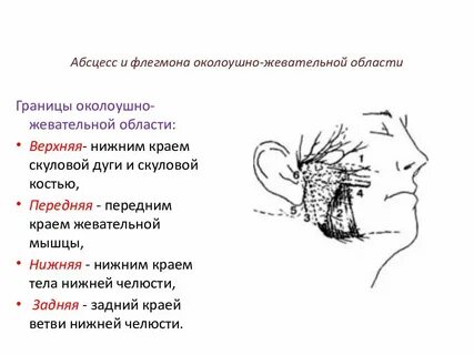 Абсцесс и флегмона