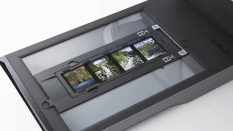 Canon сканер windows 10