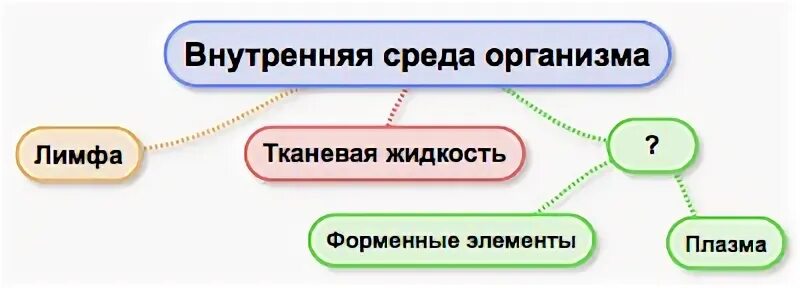 Как и в какой последовательности происходит