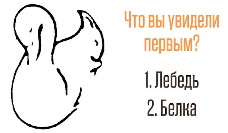 Первую очередь видим в. Двойственные изображения. Кто что видит на картинке. Что увидели первым. Интересные тесты.