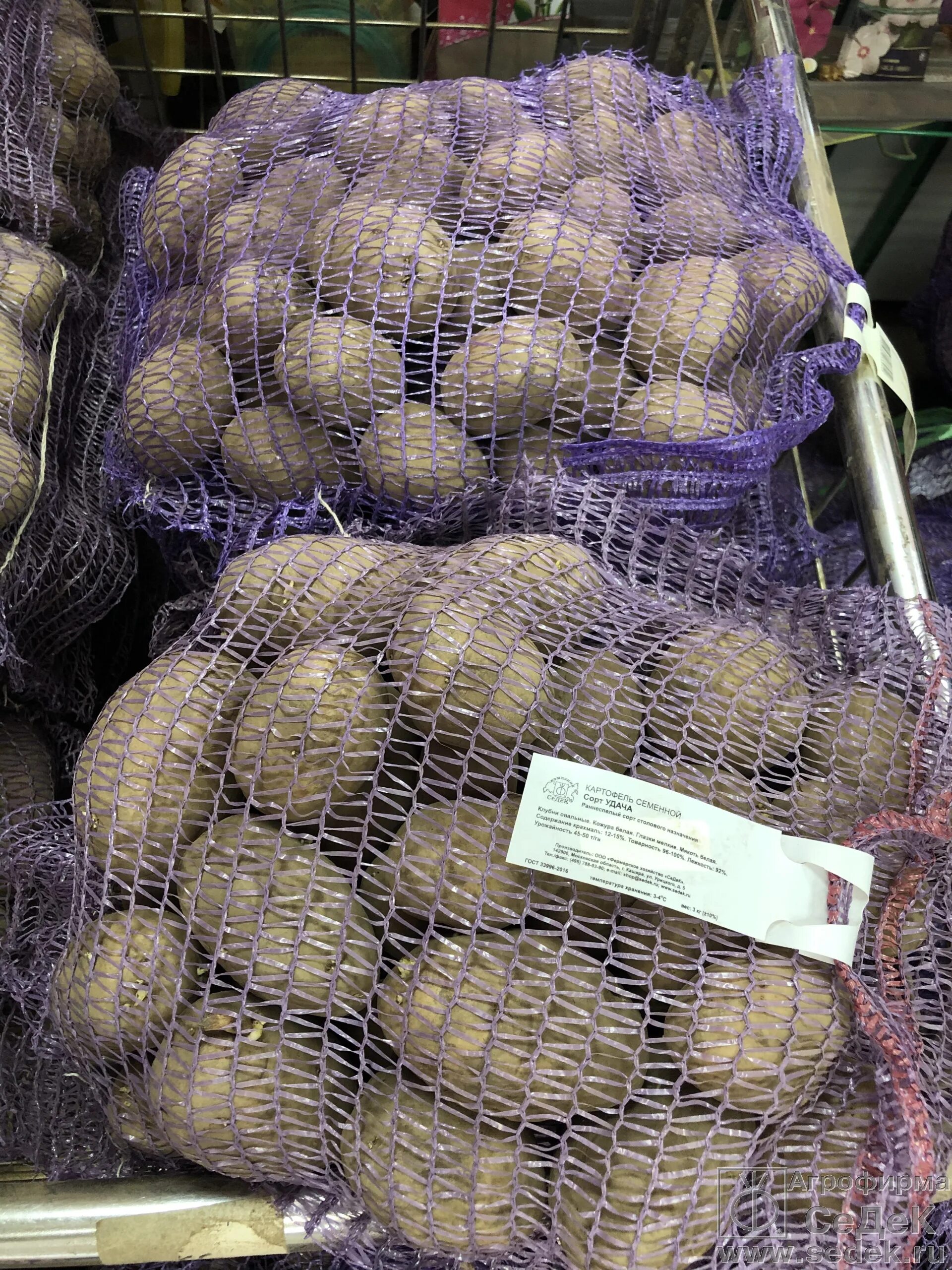 Семенной картофель в ашане. Картофель за кг. Картошка на прилавке. Килограмм картошки. Базар картошка.