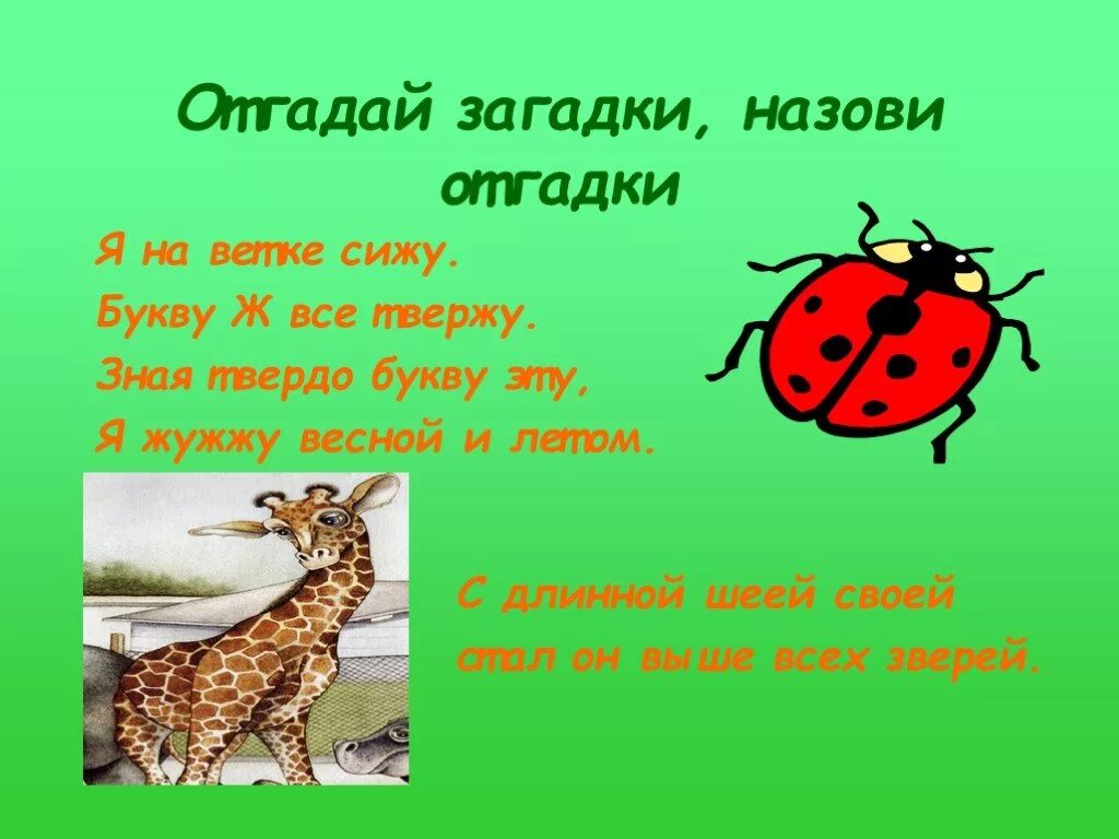 Загадка про букву ж. Загадки с отгадкой на букву ж. Загадки на букву ж для детей. Загадки на звук ж.