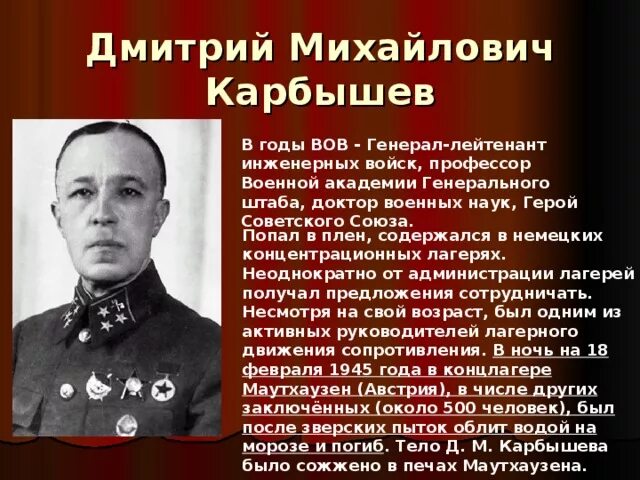 Какой вклад в великую отечественную войну