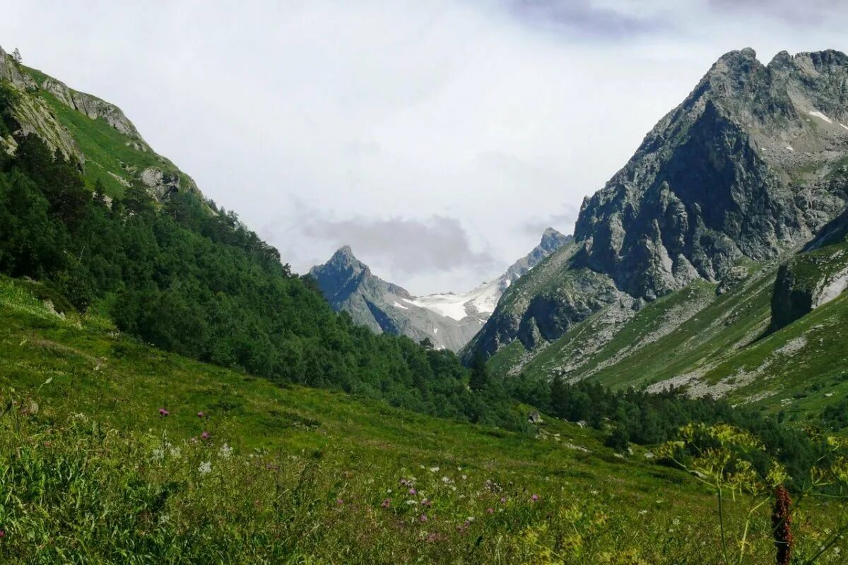Кавказ карачаево черкесия домбай. Карачаево черкесия теберда домбай. Посёлок домбай карачаево-черкесская республика. Домбай (горная территория). Кабардино-балкария домбай.