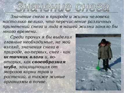 Роль снегового покрова в жизни растений