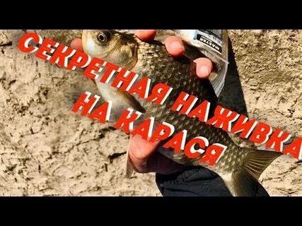 Приманка на карася осенью