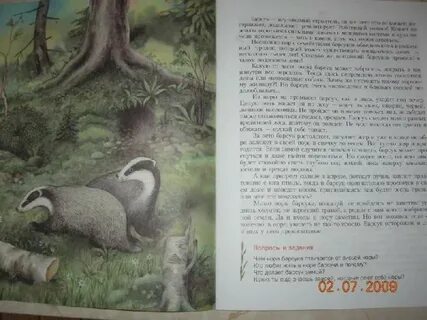 Почему лиса и барсук в норах живут