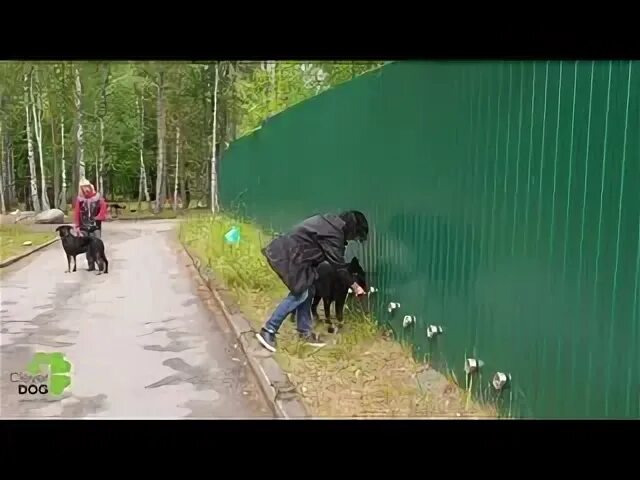 Сурова версия