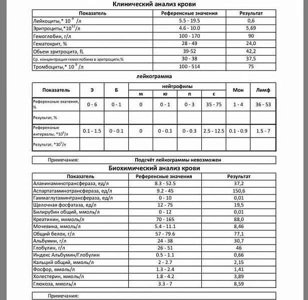 В каком анализе глюкоза. Референтные значения общего анализа крови таблица. Общий анализ крови референсные значения таблица. Биохимический анализ крови референсные значения. Референсные значения биохимического анализа крови у детей таблица.