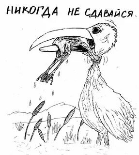 Не сдавайся до последнего