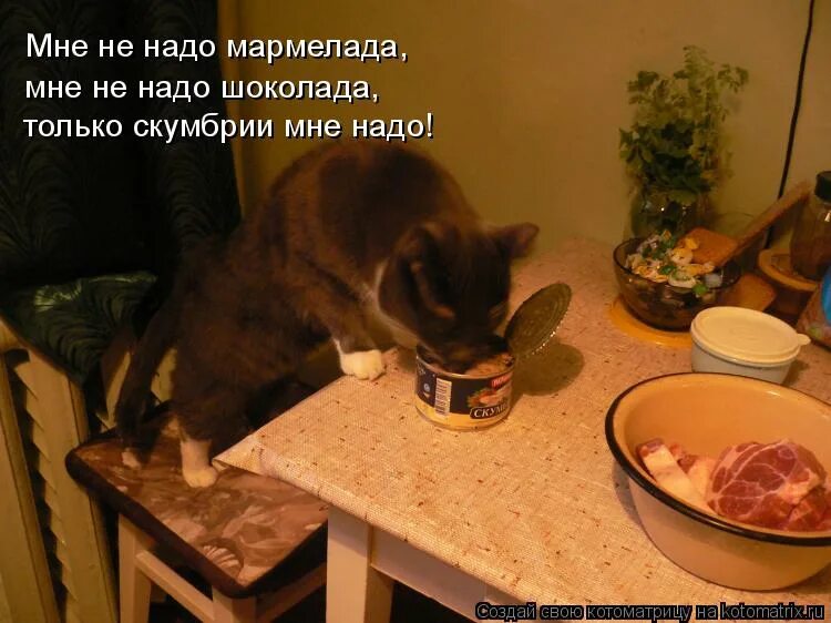 Мне нужен шоколад. Сказка телефон. Не надо шоколада не надо мармелада. Рабочий лист чуковский телефон 1 класс. Бармалей 1925.