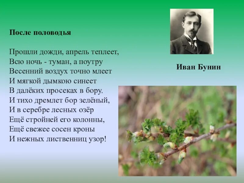 После половодья Бунин. И. А. Бунин. Стихотворения. Стихи Бунина о весне. Прошли дожди апрель теплеет