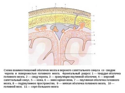 Поверхностная оболочка