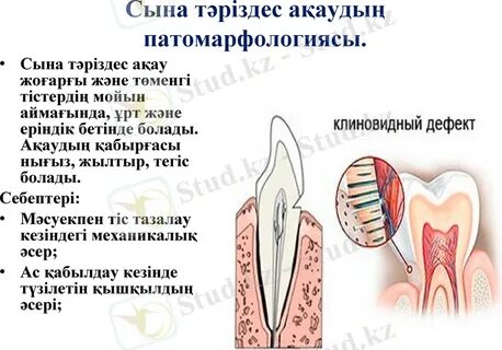Шейла Лавео порно видео онлайн көру