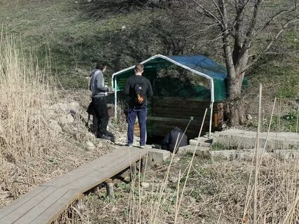 Погода в дворянском