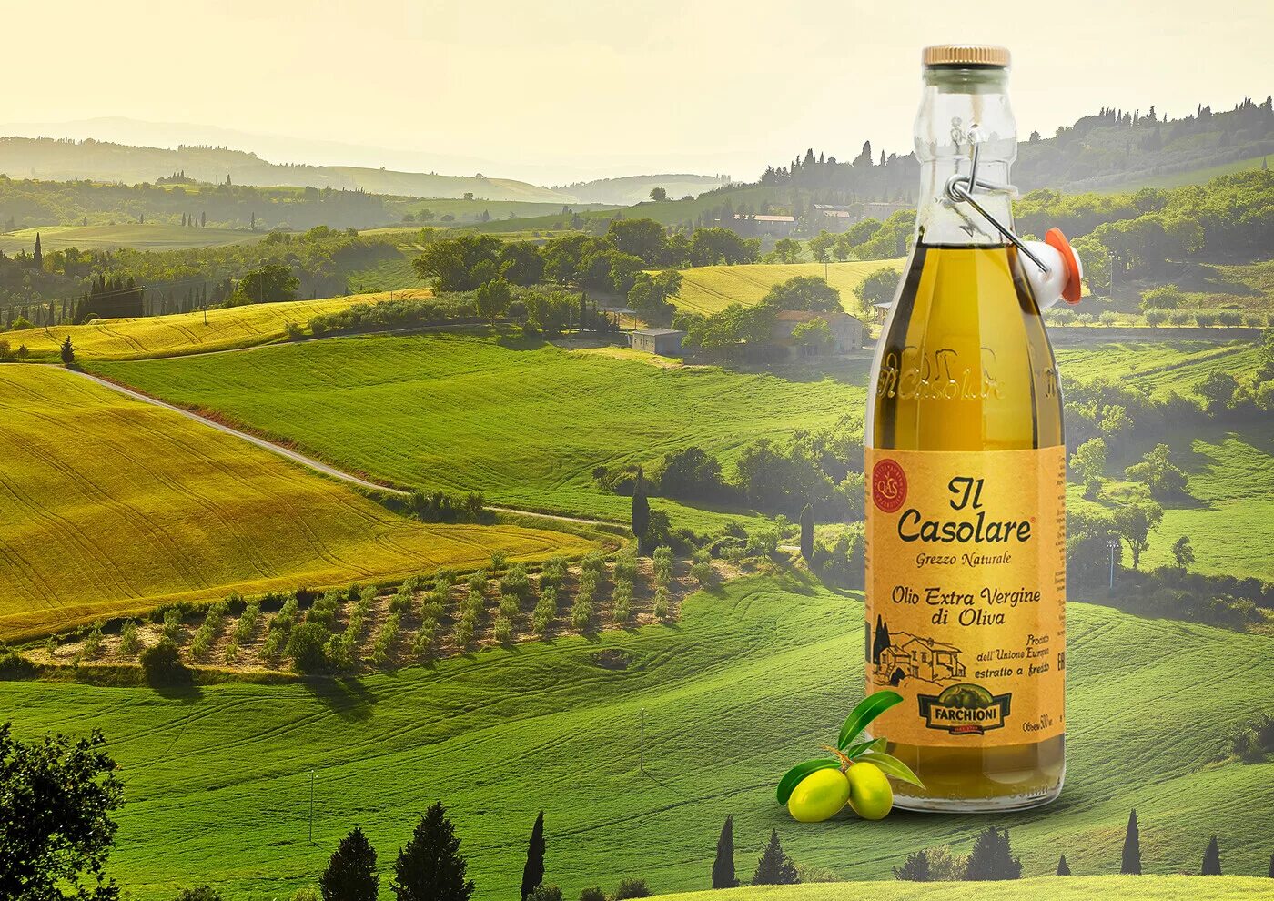 Оливковое масло il Casolare. Оливковое масло Extra Virgin Италия. Оливки в Италии масло. Оливковое масло производители.