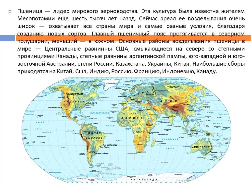 Районы возделывания пшеницы в россии. Основные районы выращивания пшеницы кукурузы риса на карте. Пшеница ареал. Ареал выращивания ячменя в россии. Пшеница ареал.