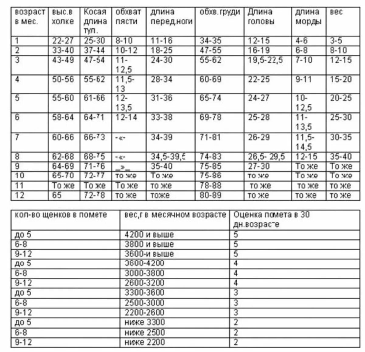 Сколько весит овчарка в год. Таблица роста щенка ВЕО. Рост щенка ВЕО по месяцам таблица. Промеры немецкой овчарки таблица. Таблица роста и веса щенка немецкой овчарки по месяцам.