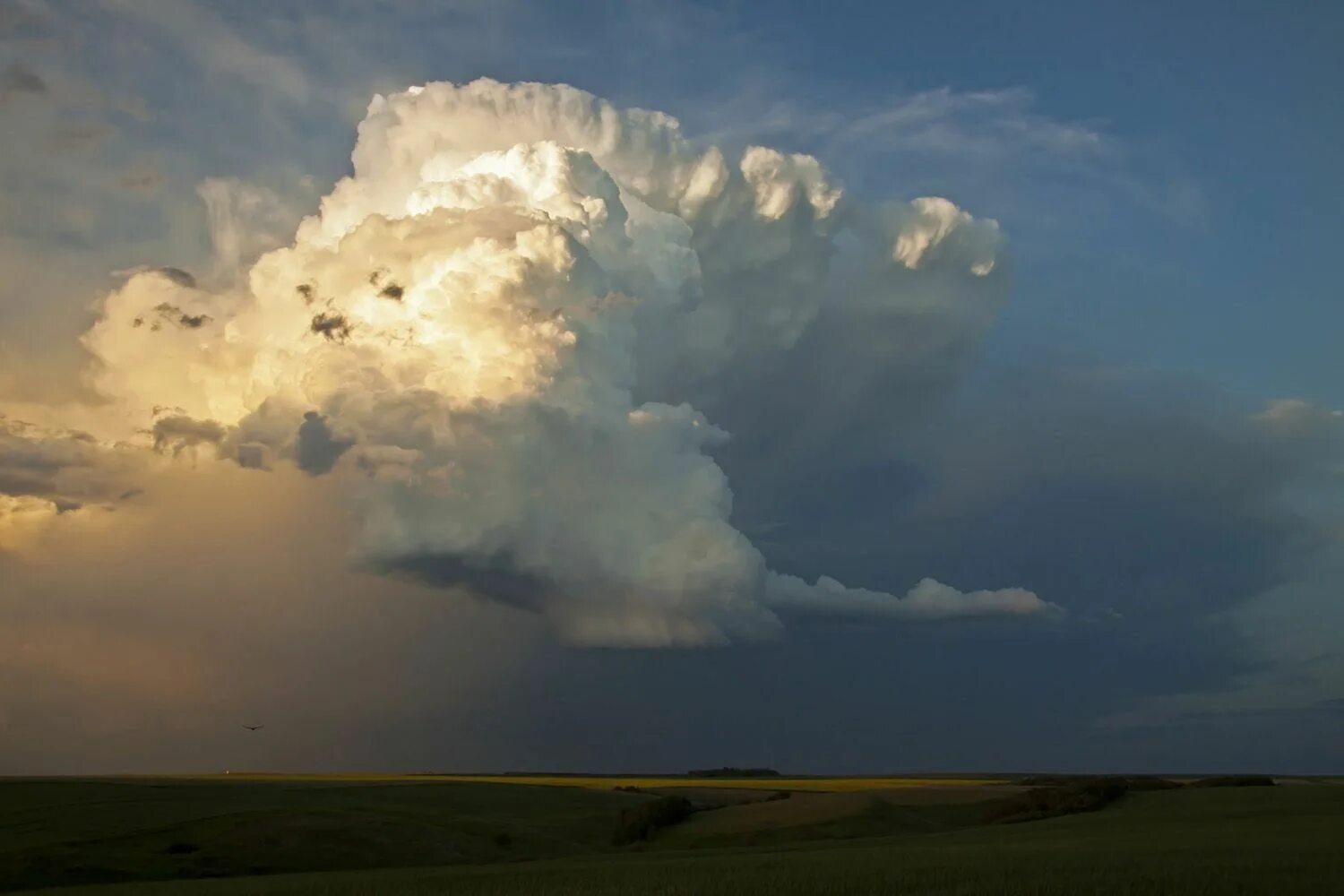 Разрывы туч. Кучевые дождевые облака. Кучево-дождевые (cumulonimbus). Cumulonimbus capillatus Arcus. Облака кумулонимбус.