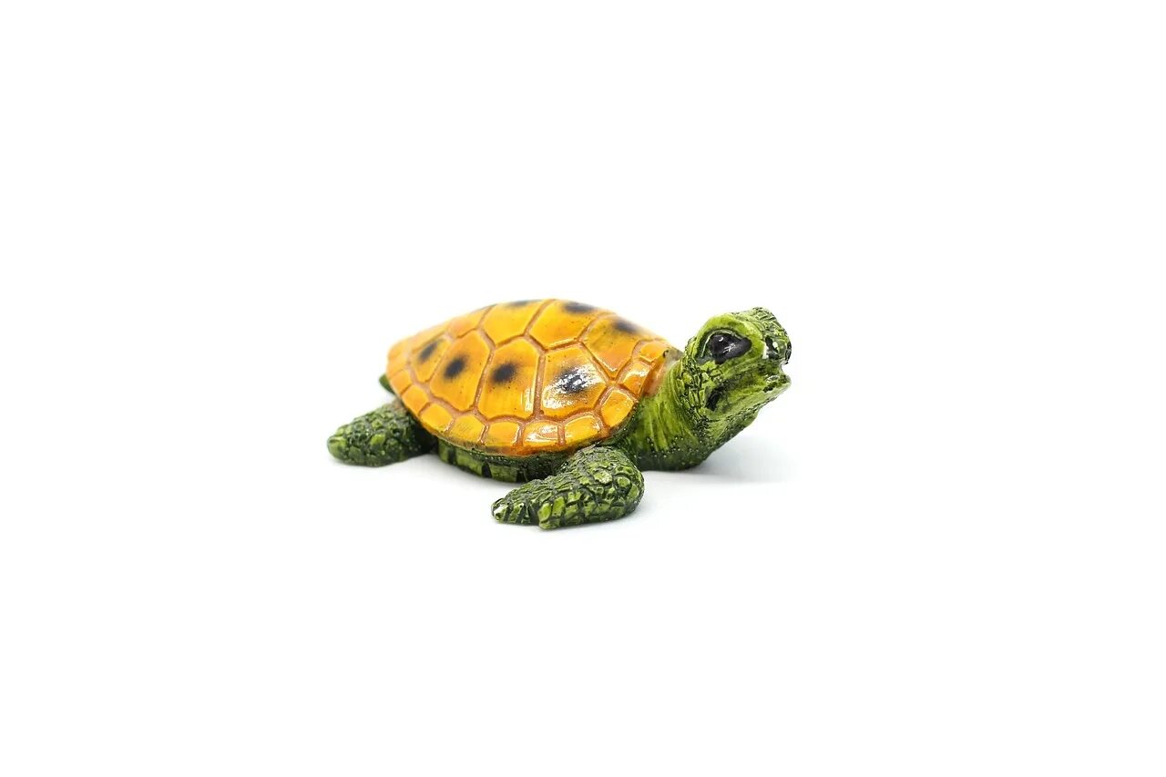 Turtle write