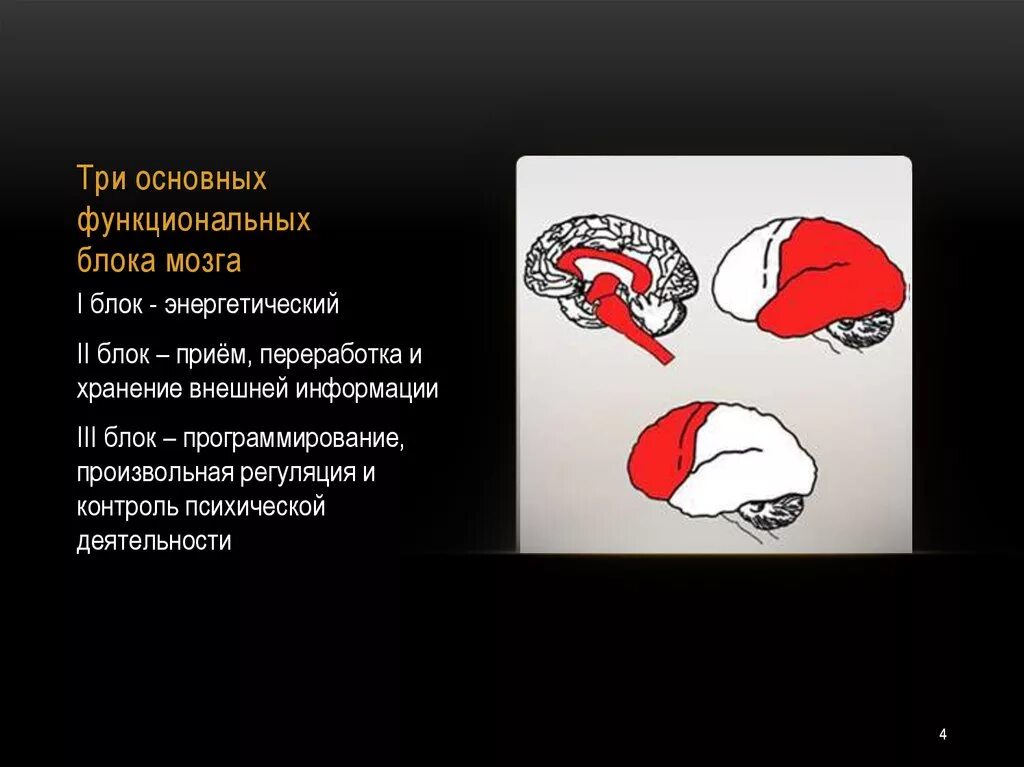 Нарушения блоков мозга. Третий функциональный блок мозга Лурия. Блоки мозга по Лурия 1 блок. Три блока мозга по Лурия 1 блок энергетический. Энергетический функциональный блок мозга.