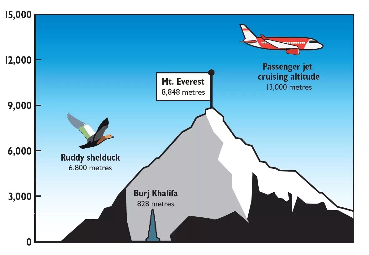 Сколько полетит самолет. Высота Эвереста в километрах. Высота Эвереста в метрах. Гора Эверест высота в км. Высота полёта саммолёта.