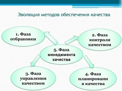 Стадии развития это определение
