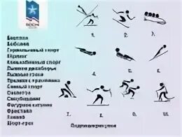 Какой вид спорта не входит