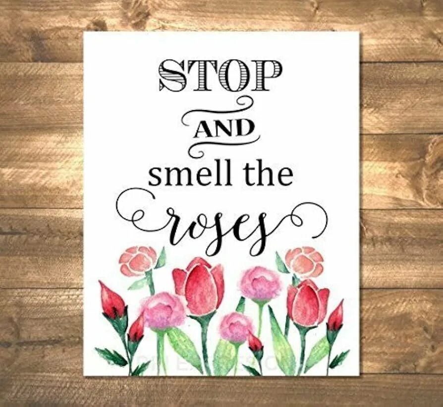 I am smelling smell the roses. Smell rose. Мак дэвис. I am smelling smell the roses. Stop and smell the roses vinyl.
