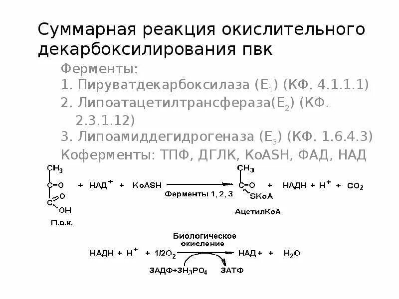 Окислительное декарбоксилирование реакции. Схема реакции окислительного декарбоксилирования пирувата. Окислительное декарбоксилирование ПВК. Окислительное декарбоксилирование ПВК биохимия реакции. Реакции декарбоксилирования витамин б6.