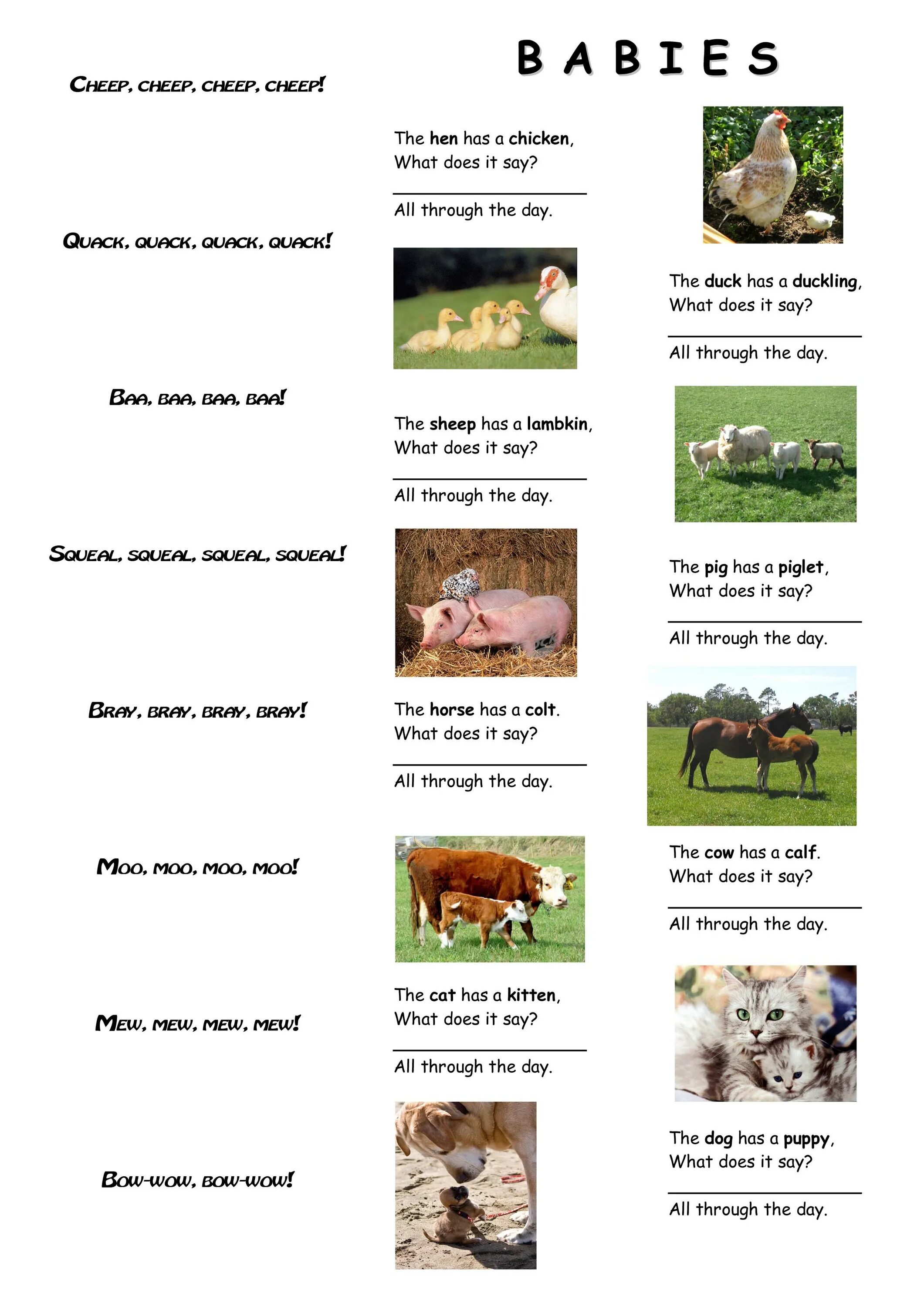 What animals did you see. What do animals say. what do domestic animals say. what animals say in english. what do animals need.