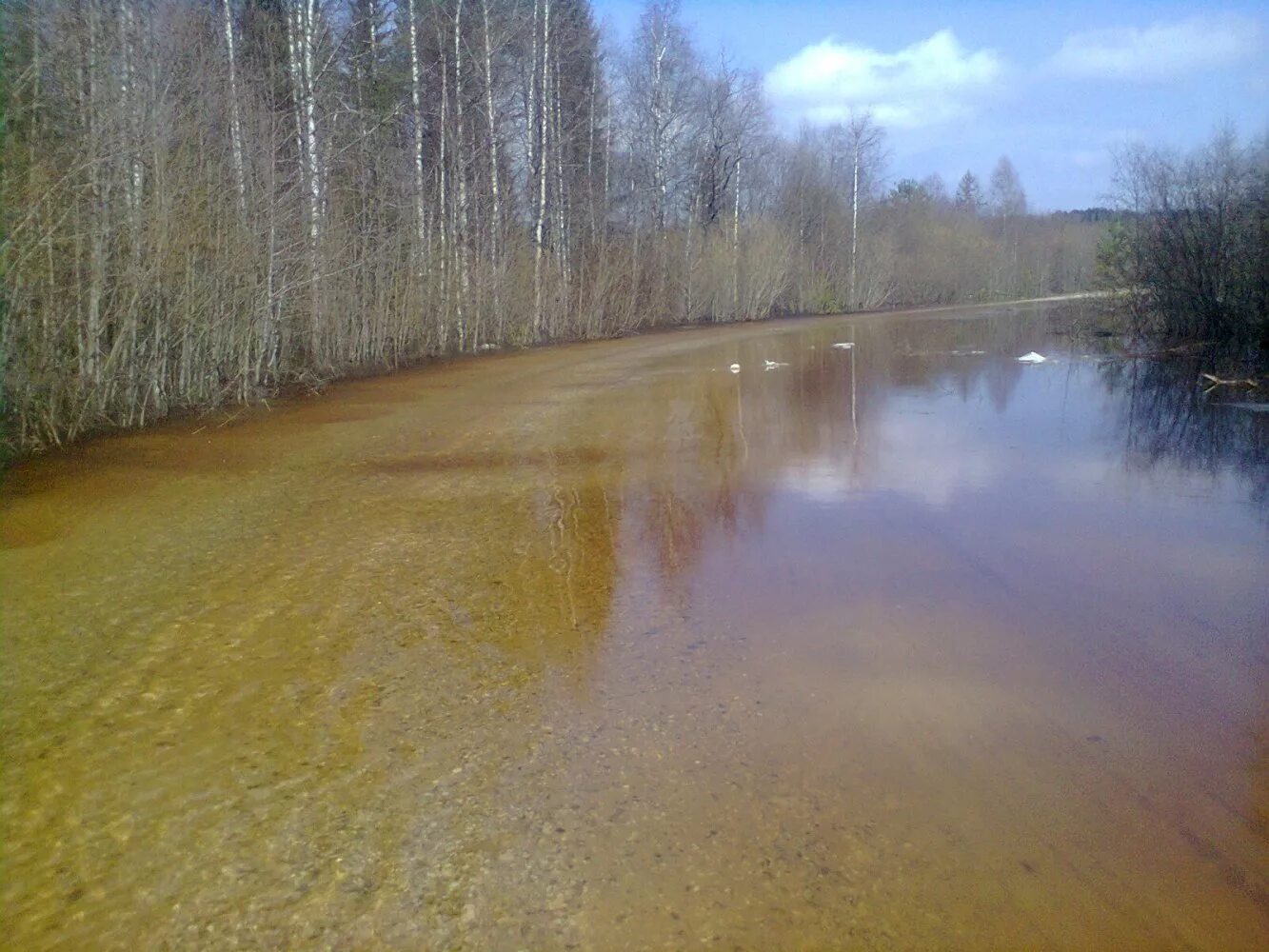 воробьевица костромской. воробьевица костромской. воробьевица костромской. поселок воробьевица вохомского района костромской области. воробьевица вохомский район костромская.