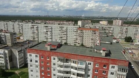 Наседкин череповец
