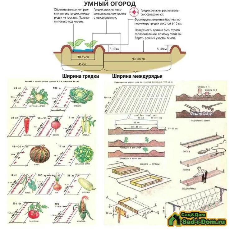 Огород по сторонам света. Схема посадки картофеля по методу Митлайдера. Грядки по сторонам света схема. Посадка по Митлайдеру схема чертеж. Огород грядки по Митлайдеру.