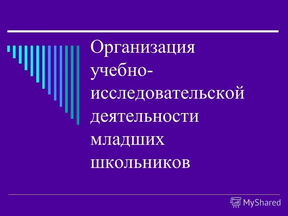 Исследовательская работа младших школьников. Учебно исследовательская деятельность младших школьников. Исследовательская деятельность младших школьников. Учебно исследовательская деятельность младших школьников. Исследовательская работа младших школьников.