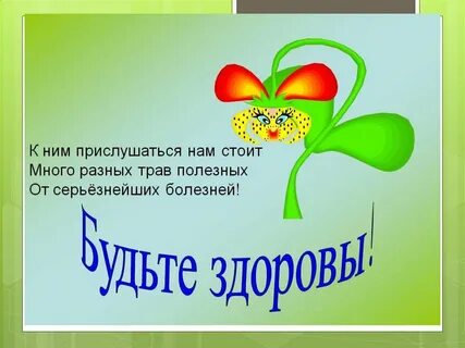 Картинки зеленая аптека