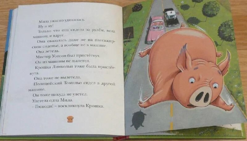 Книга свинка. Красивая Свинка книга.