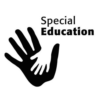 Special needs education
