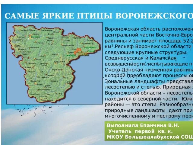Воронлжской обл. Областной центр воронежской области. Среднерусская возвышенность воронежской области. Площадь воронежа и воронежской области. Административно-территориальное деление воронежской области.