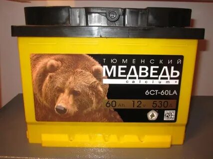 Медведь 60